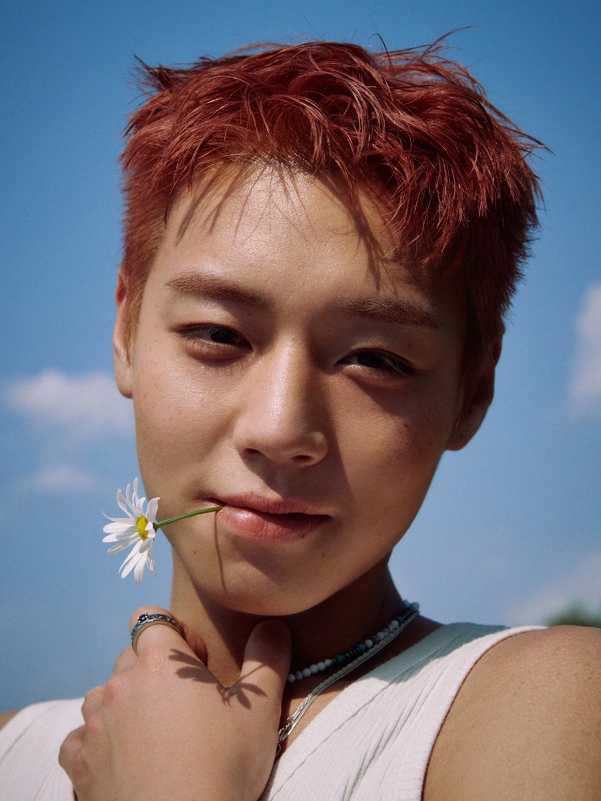 박지훈이 컴백한다