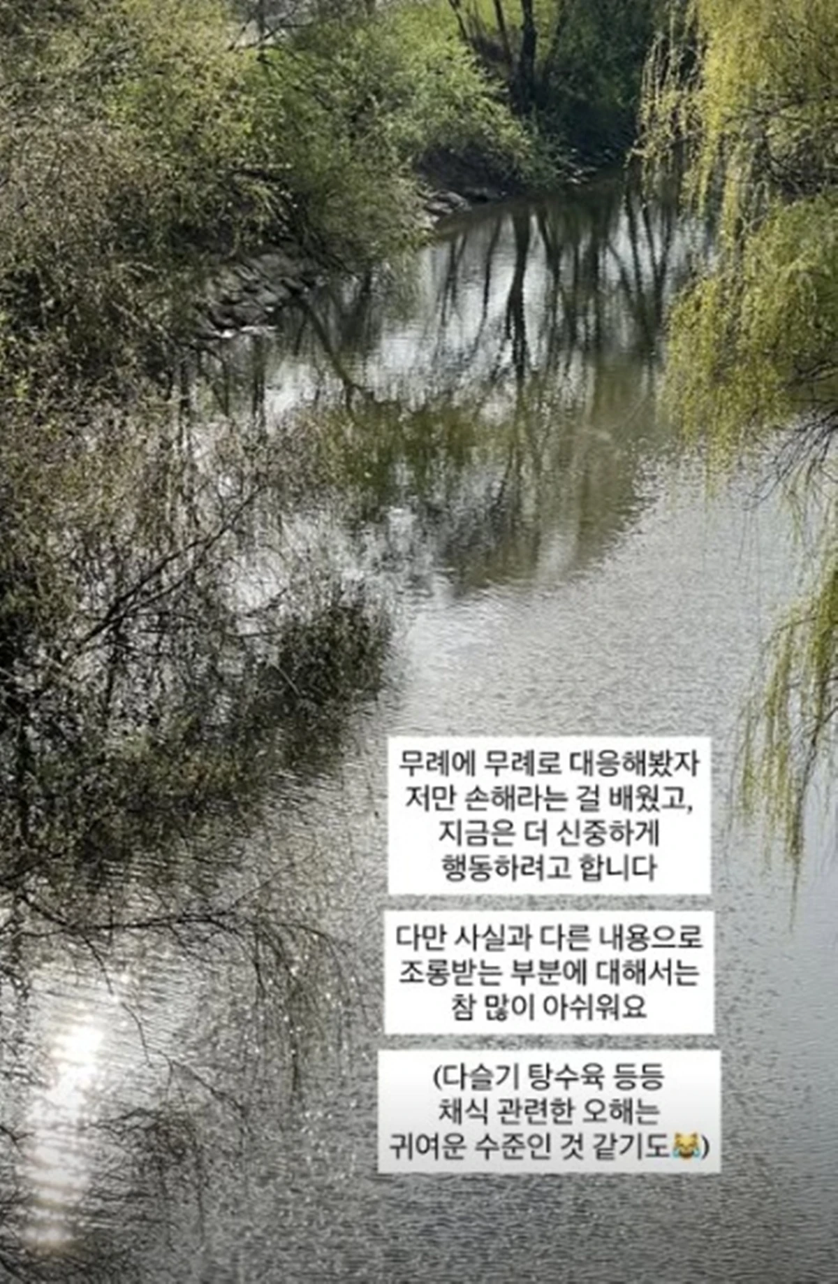 24기 채식 순자 SNS