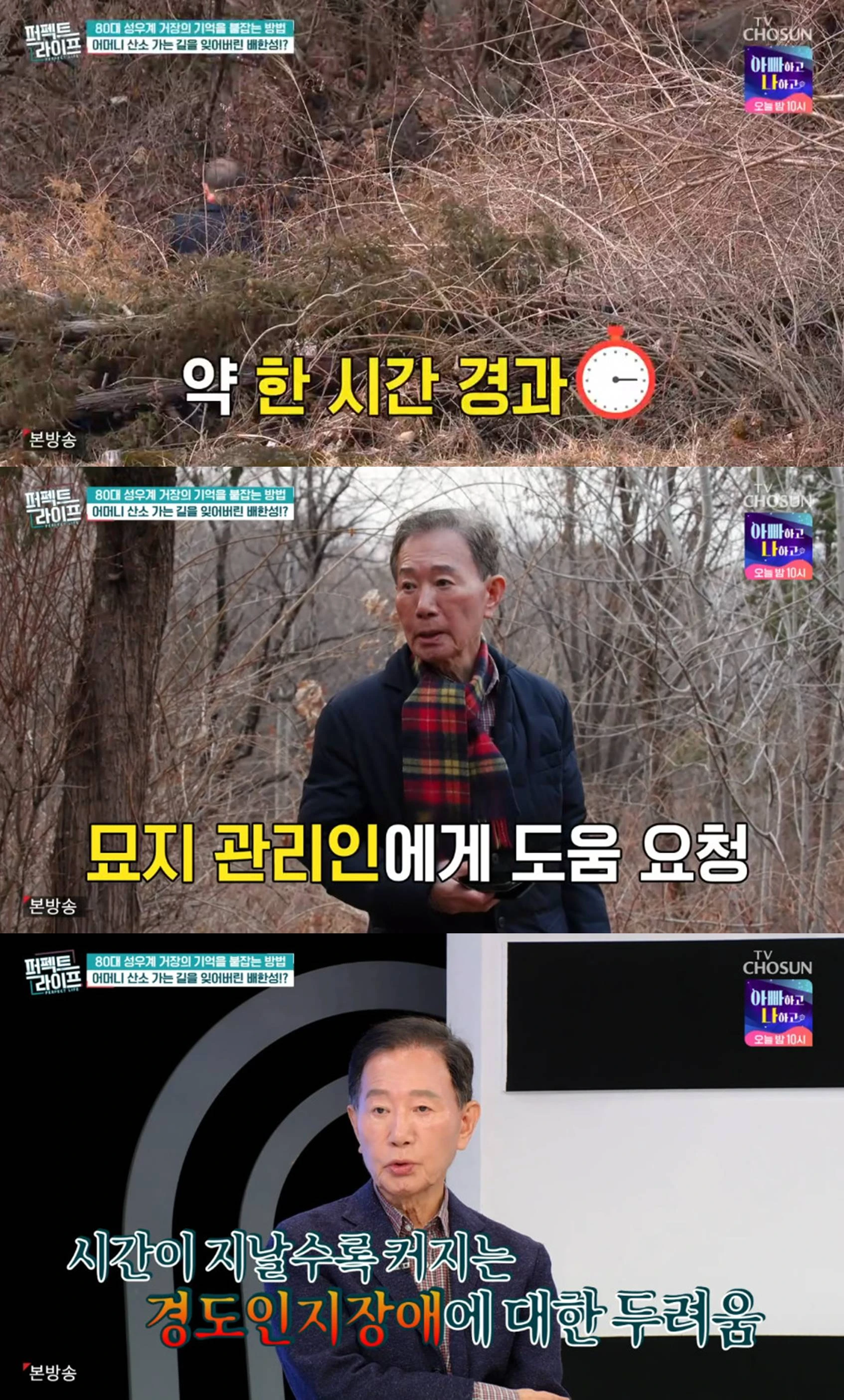 TV CHOSUN '퍼펙트 라이프'