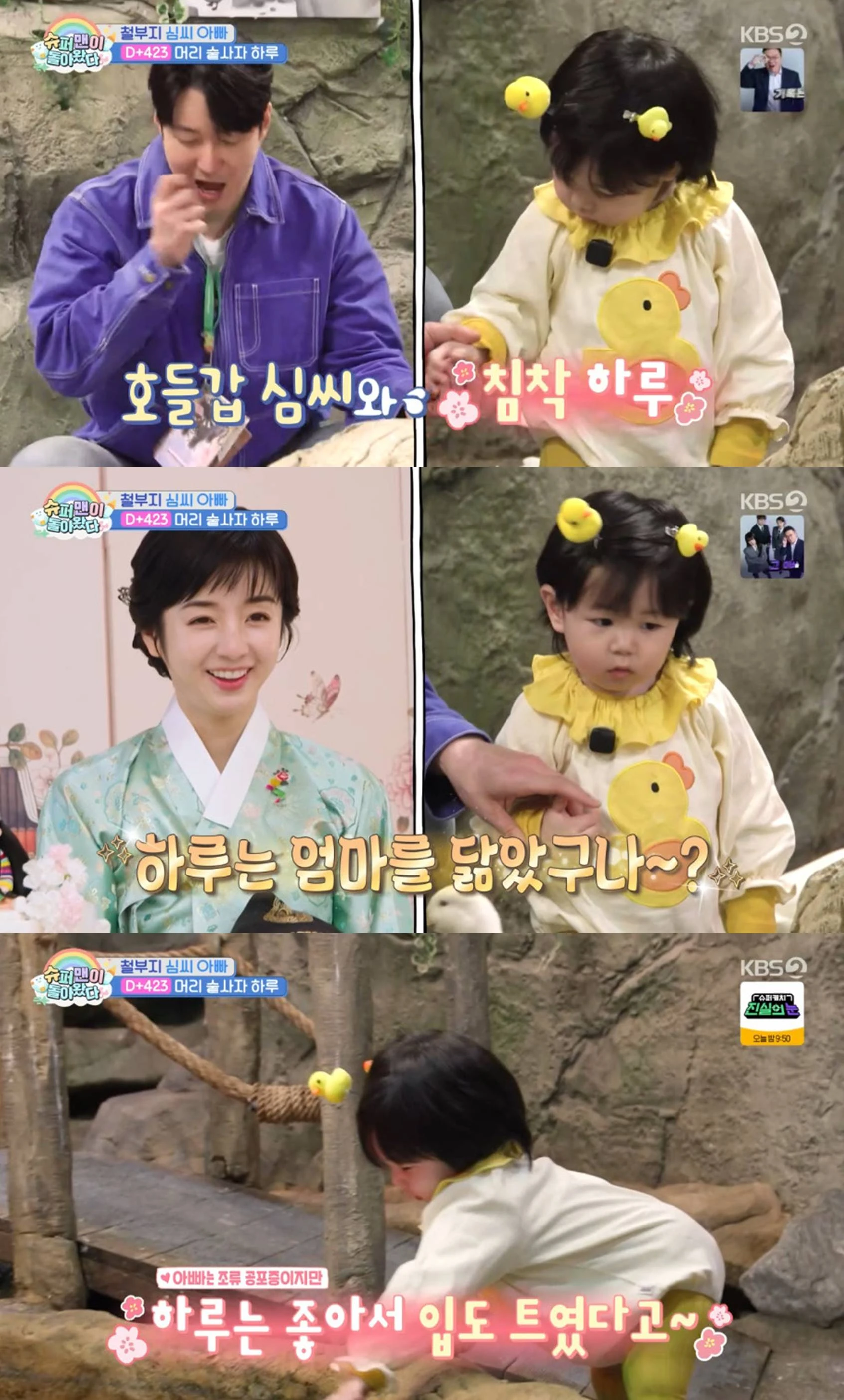 KBS 2TV '슈퍼맨이 돌아왔다'