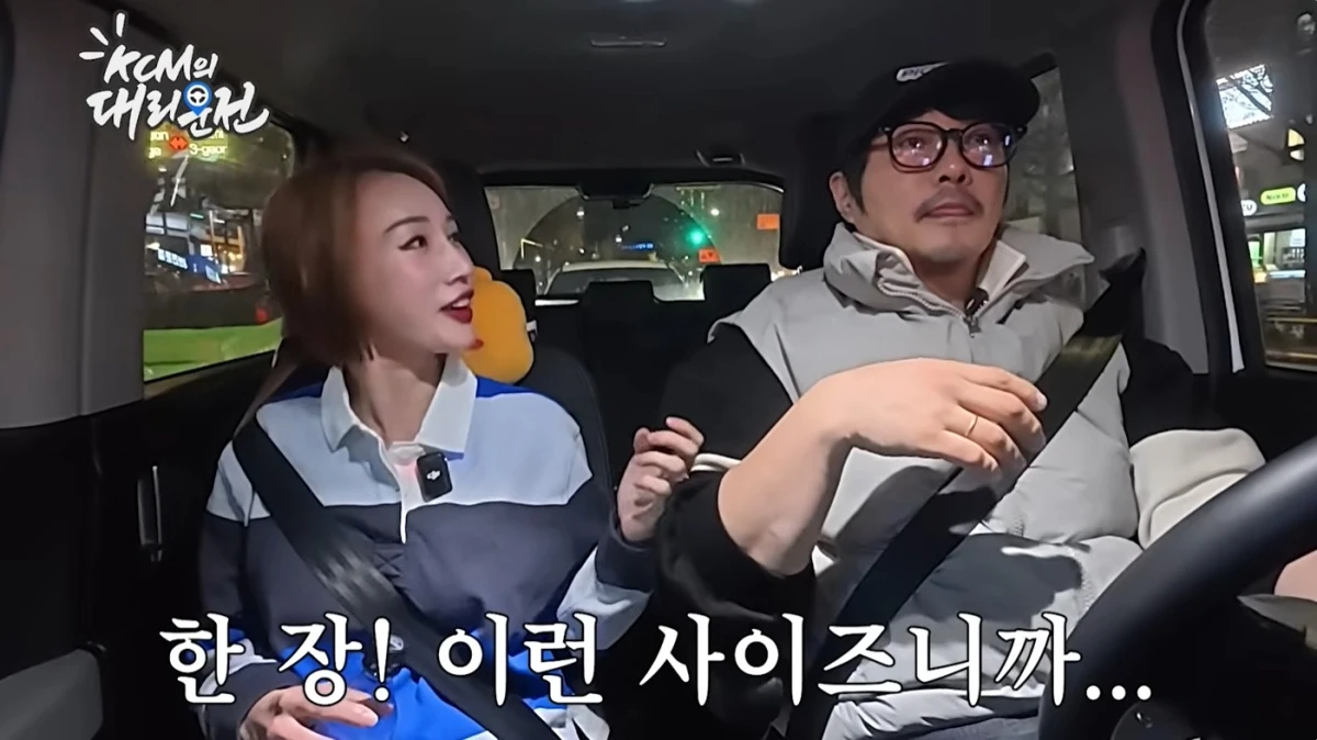 '대리만족' 유튜브 캡처