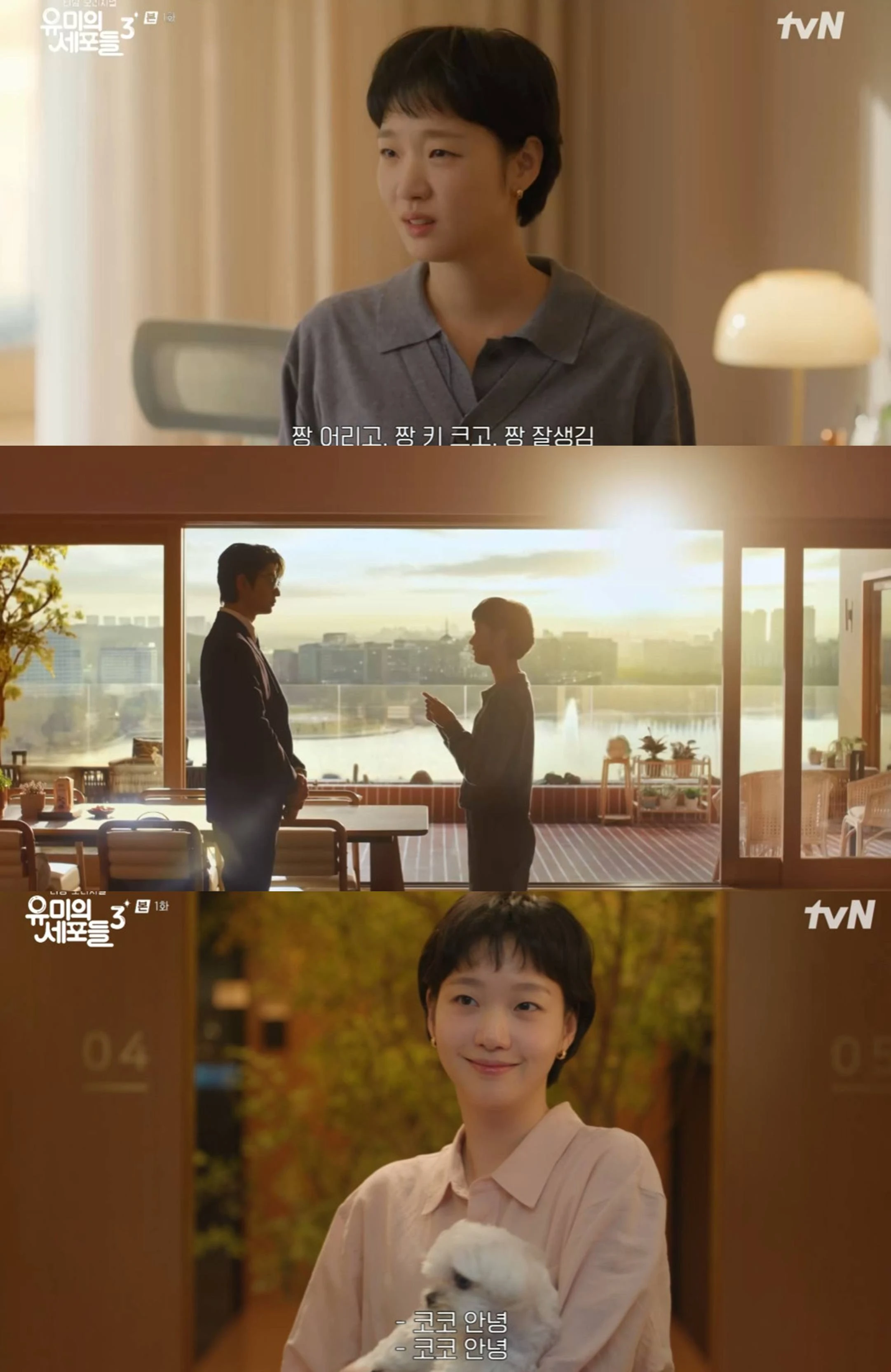 티빙 오리지널, tvN '유미의 세포들 시즌3'