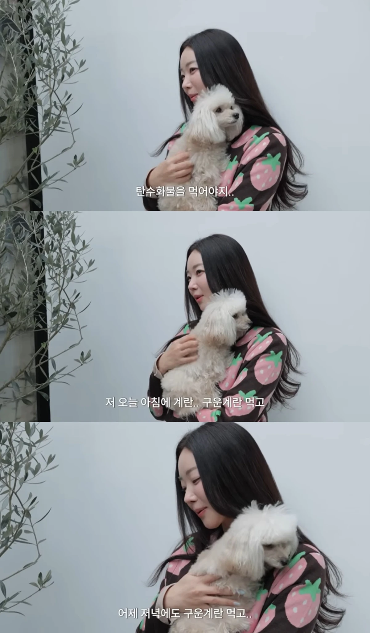 유튜브 '김사랑'