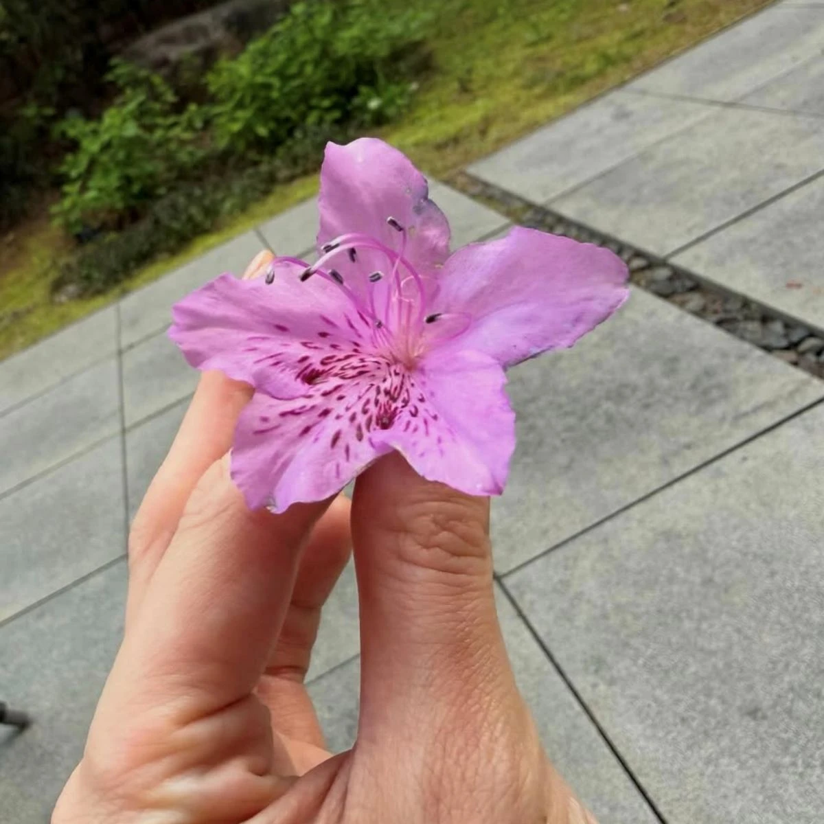 사진 = 이민정 인스타그램