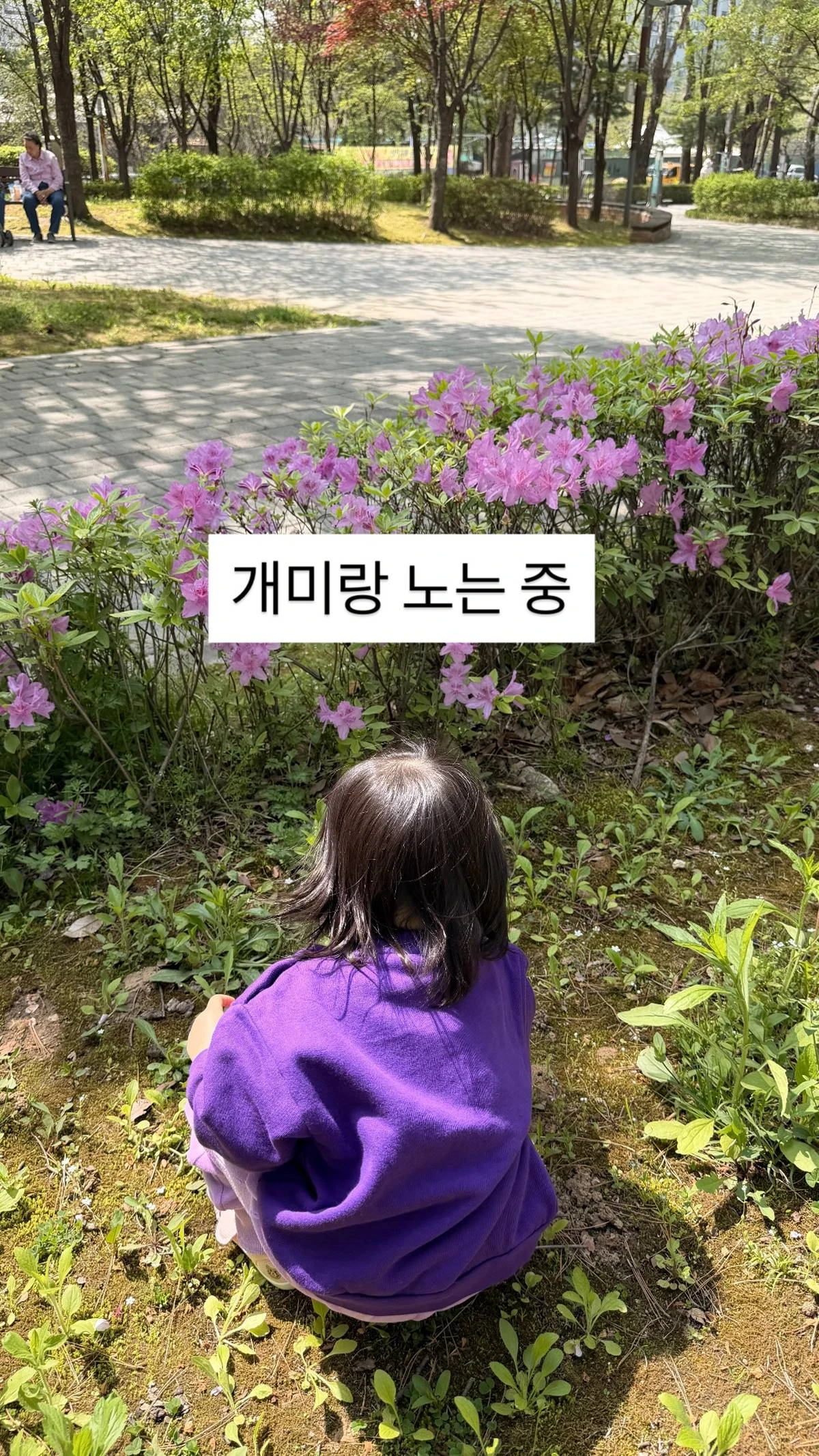 사진= 김다예 SNS