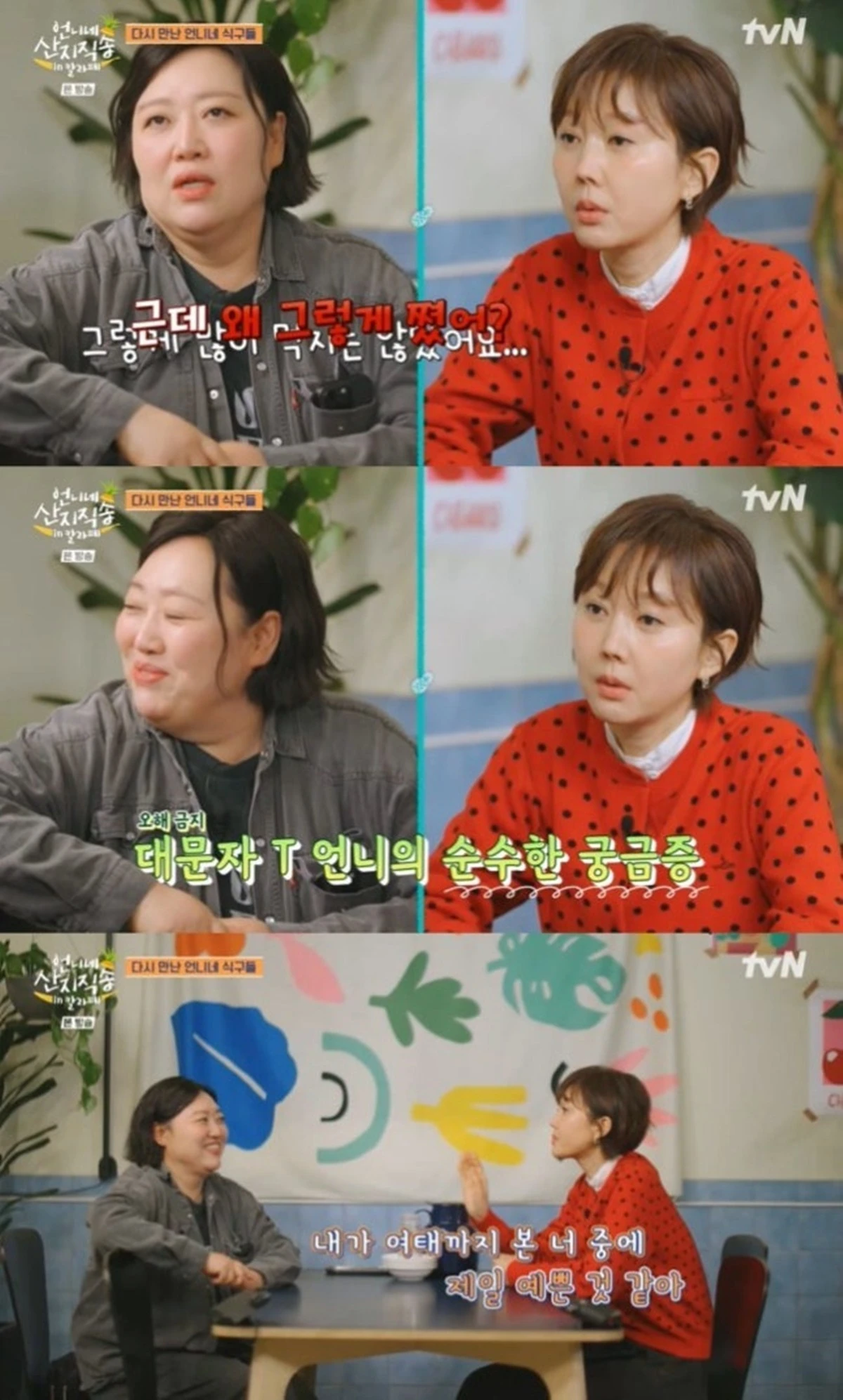 tvN '언니네 산지직송 in 칼라페' 캡쳐