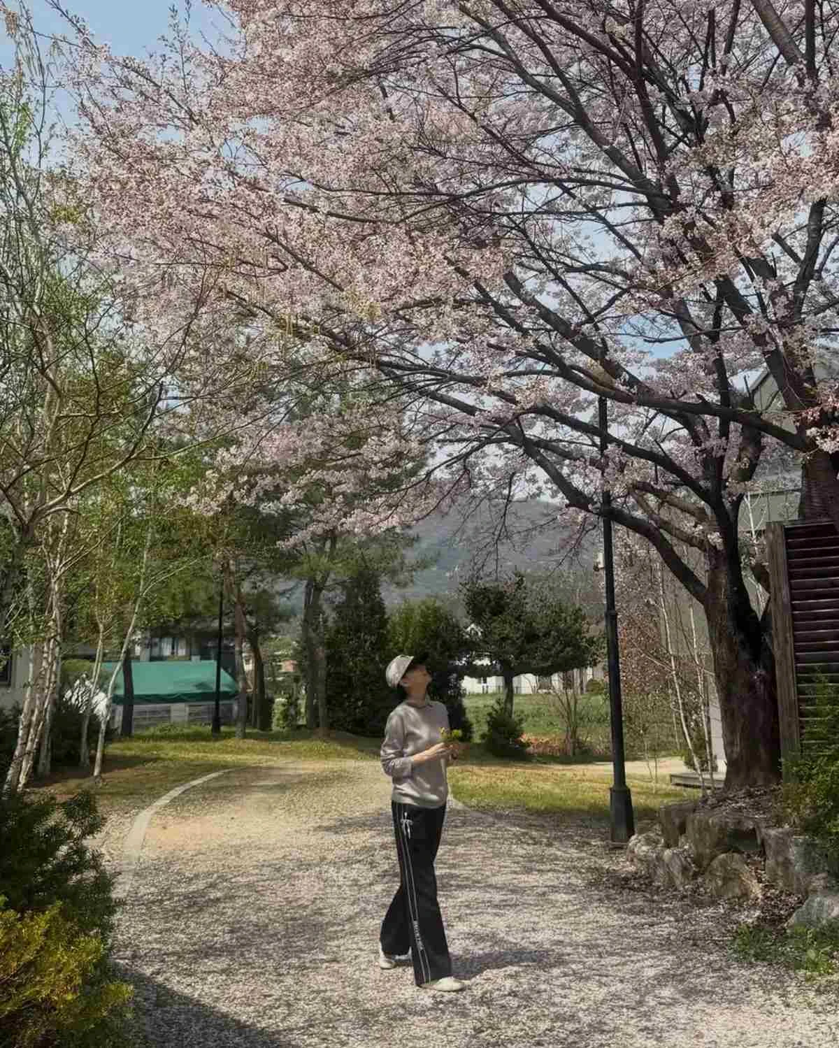 배우 이영애, 문호리 집