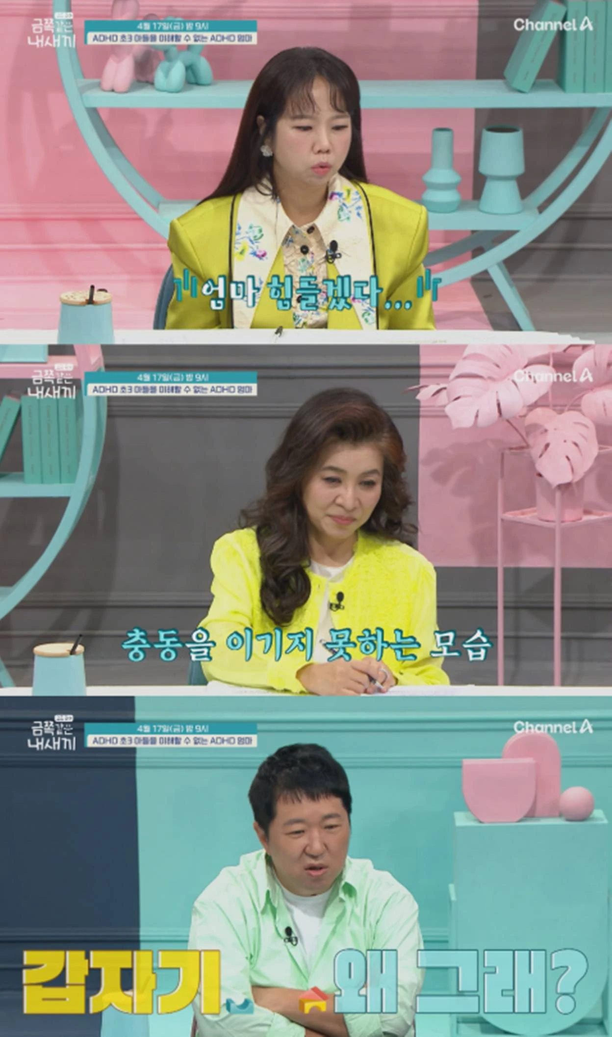 채널A '요즘 육아 - 금쪽같은 내 새끼'
