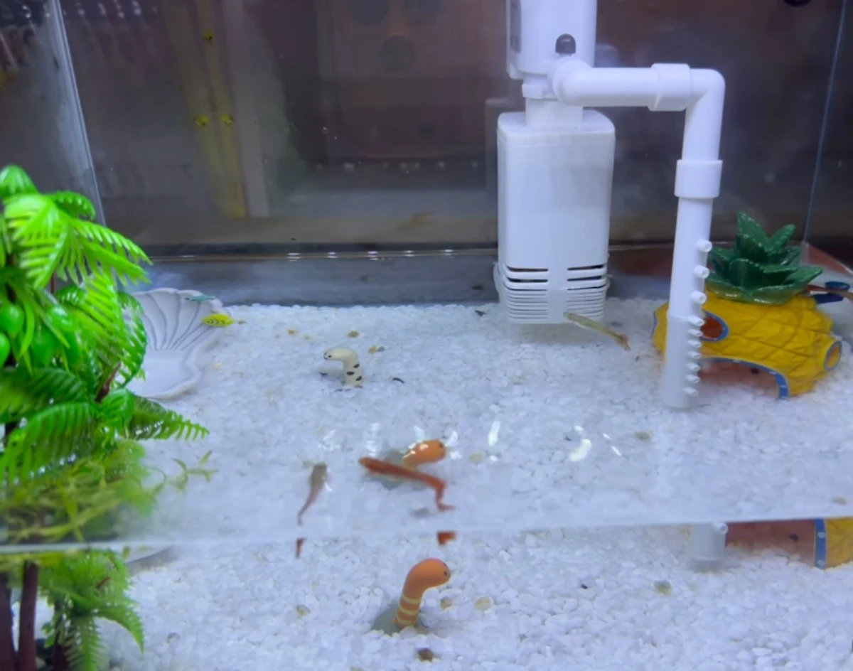 사진 = 이민정 인스타그램