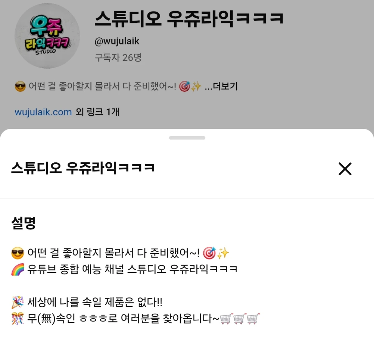 사진 = 유튜브 채널 '스튜디오 우쥬라익'