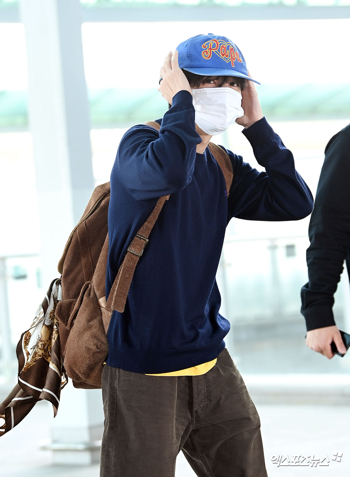 Adorable playful gaze