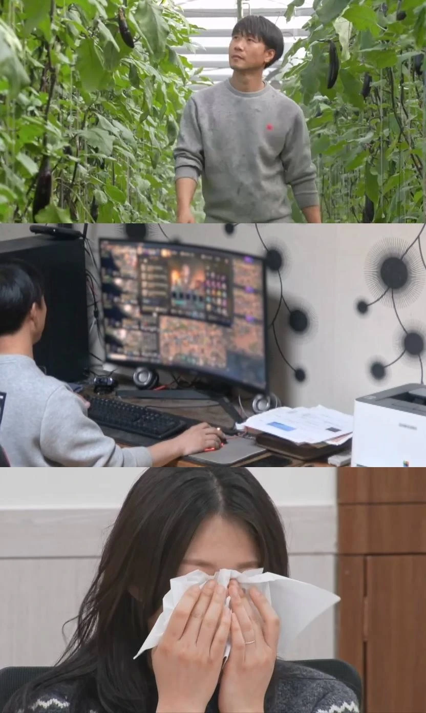  JTBC ‘이혼숙려캠프'