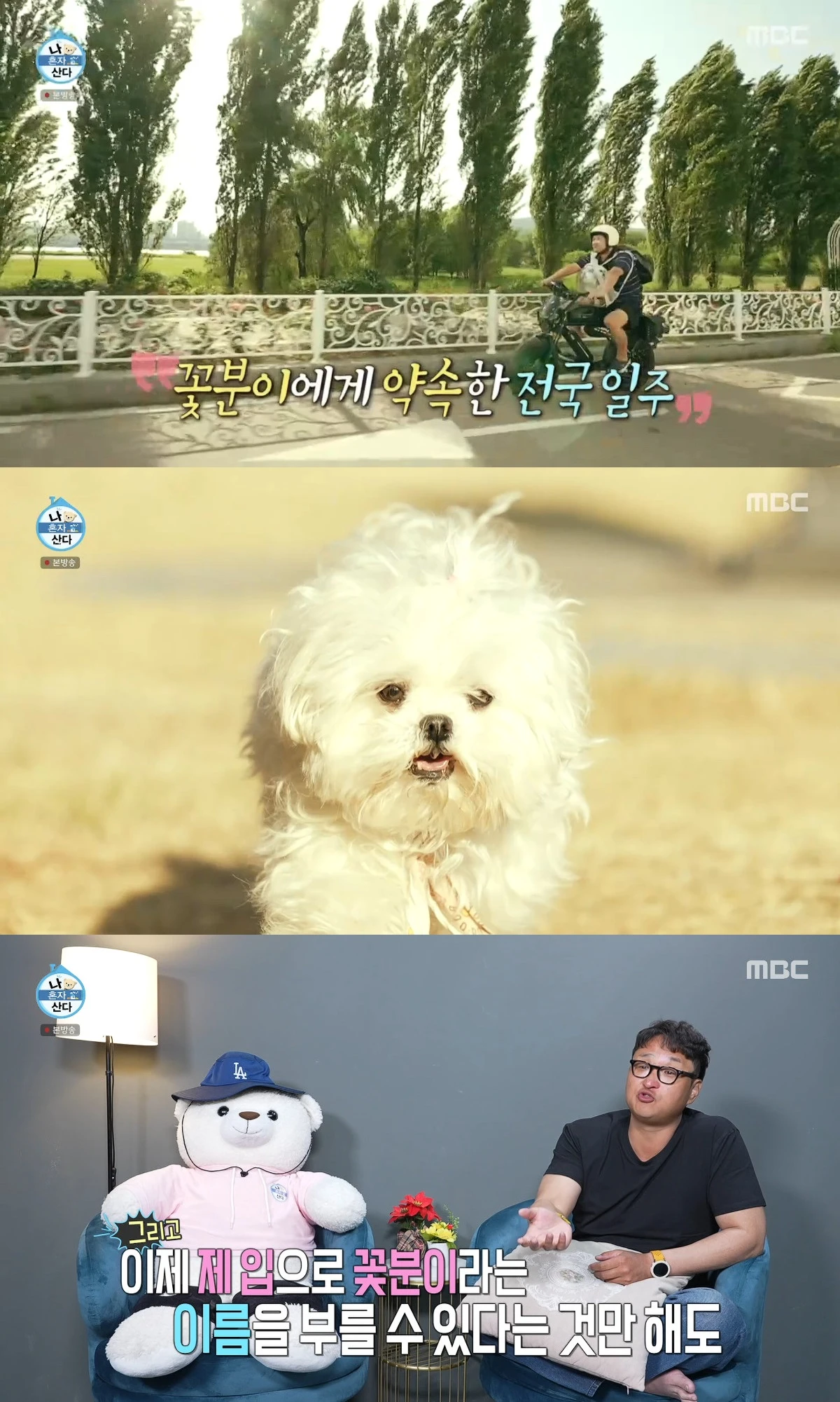 사진= MBC '나 혼자 산다'