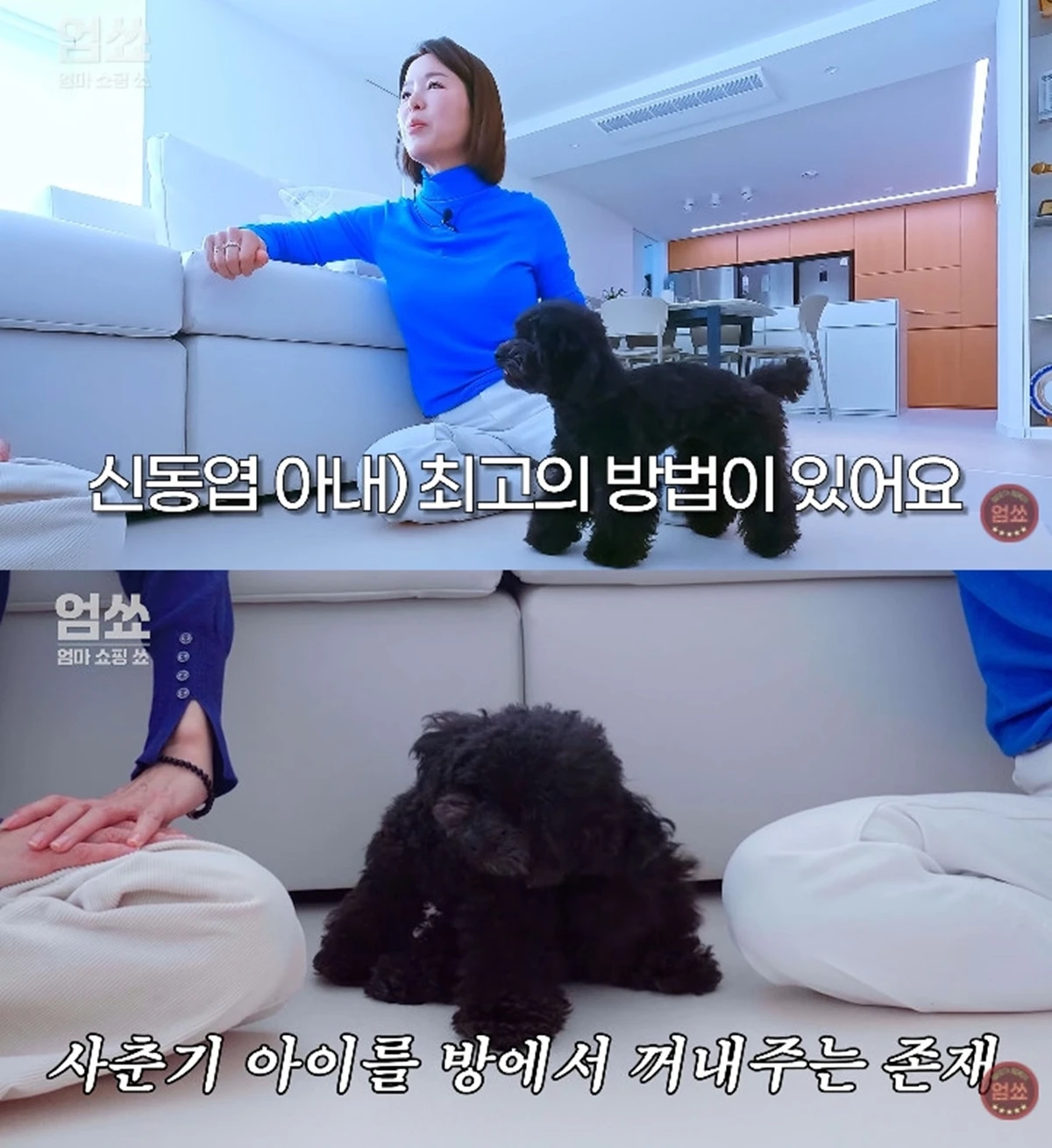 유튜브 채널 '엄쑈'