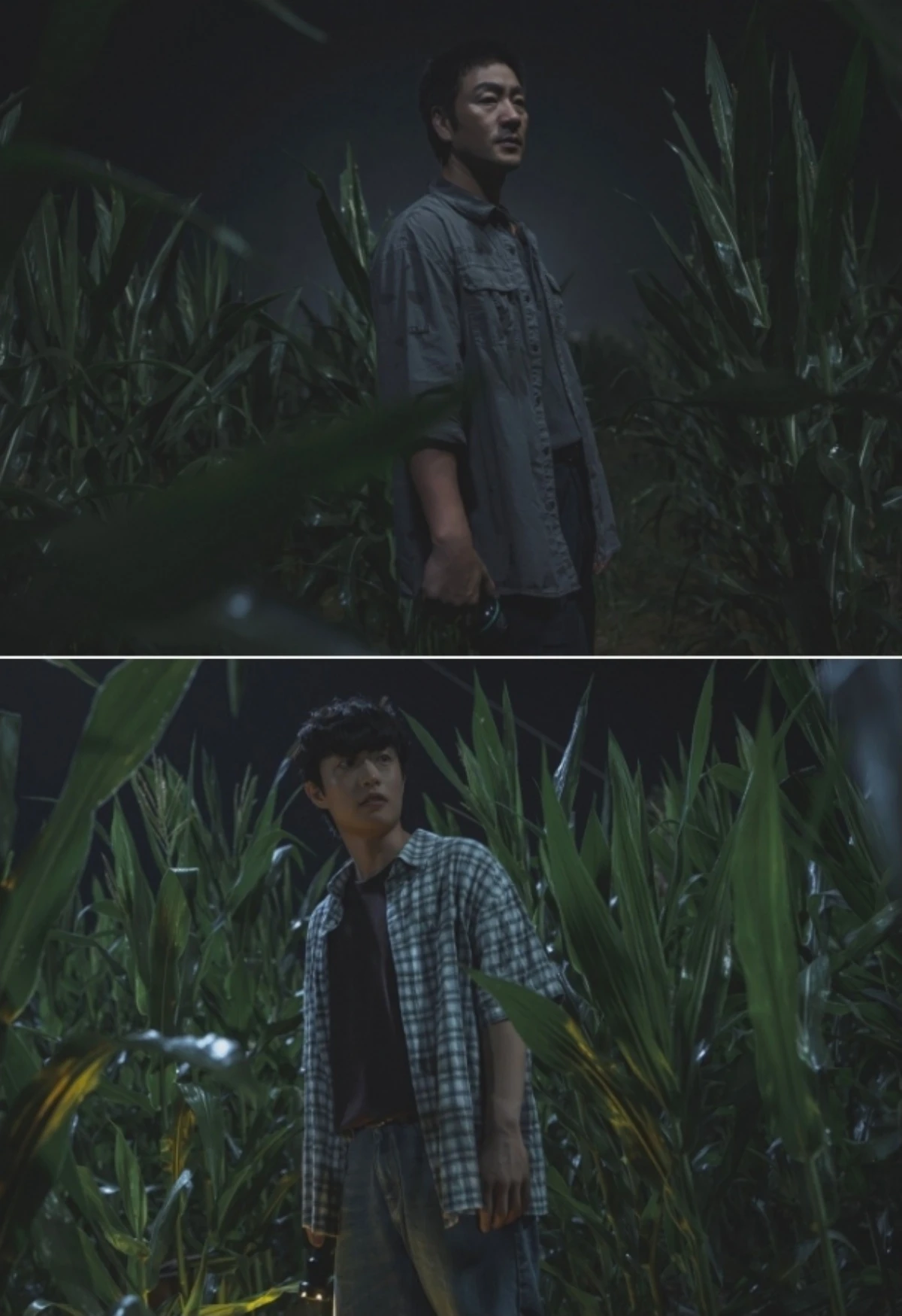 KT스튜디오지니