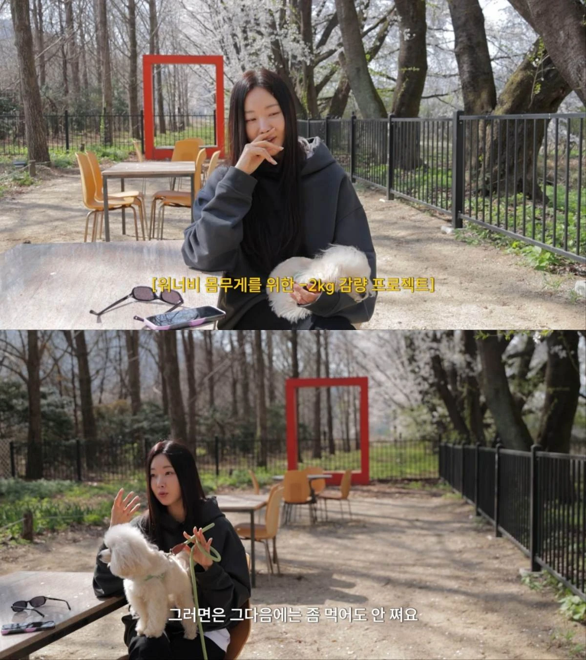 배우 김사랑 유튜브