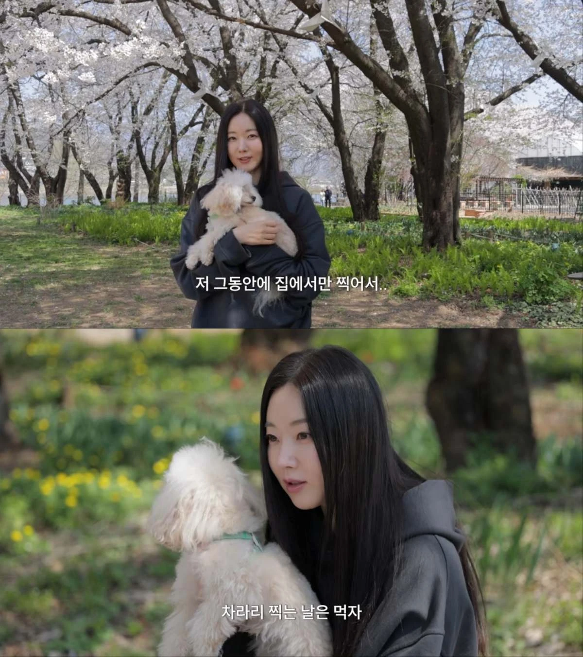 김사랑 유튜브 ''댓글 읽다가 다이어트 결심한 김사랑 (+아이랑 벚꽃 명소 나들이)''