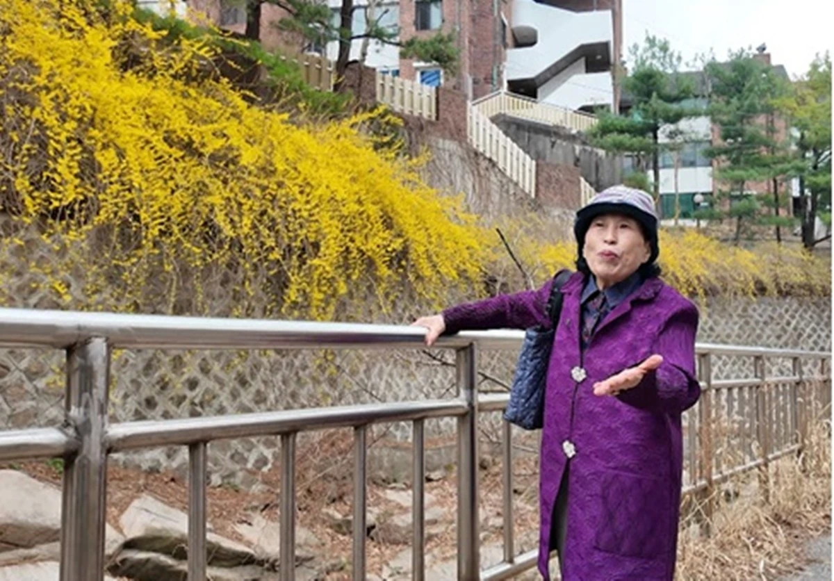 TV CHOSUN '퍼펙트 라이프' 캡쳐