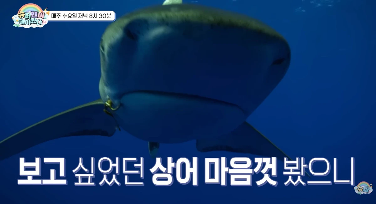 KBS 2TV '슈퍼맨이 돌아왔다' 캡쳐