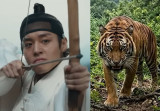 '왕사남' 밤티 호랑이, 이제 못 본다…'수정 완료' 박고 완벽한 CG로 [엑's 이슈]