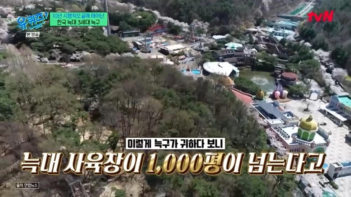 '유 퀴즈 온 더 블럭'