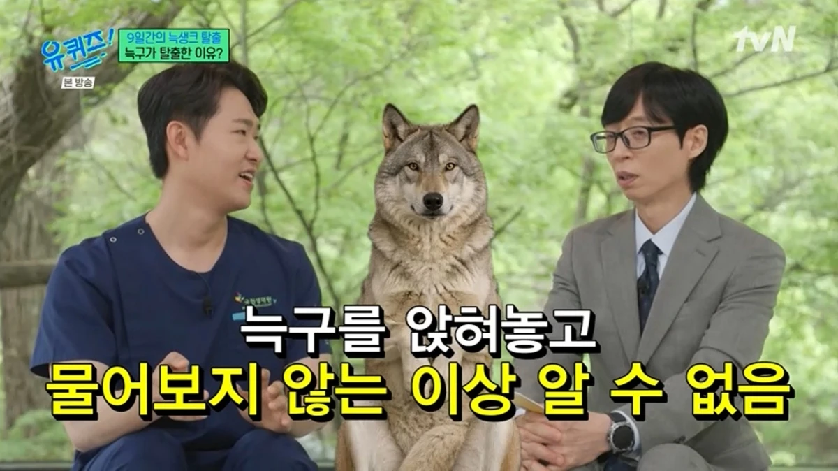 '유 퀴즈 온 더 블럭'