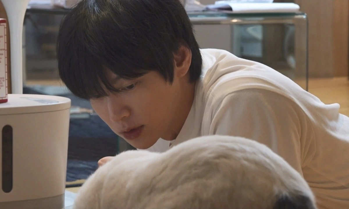 MBC