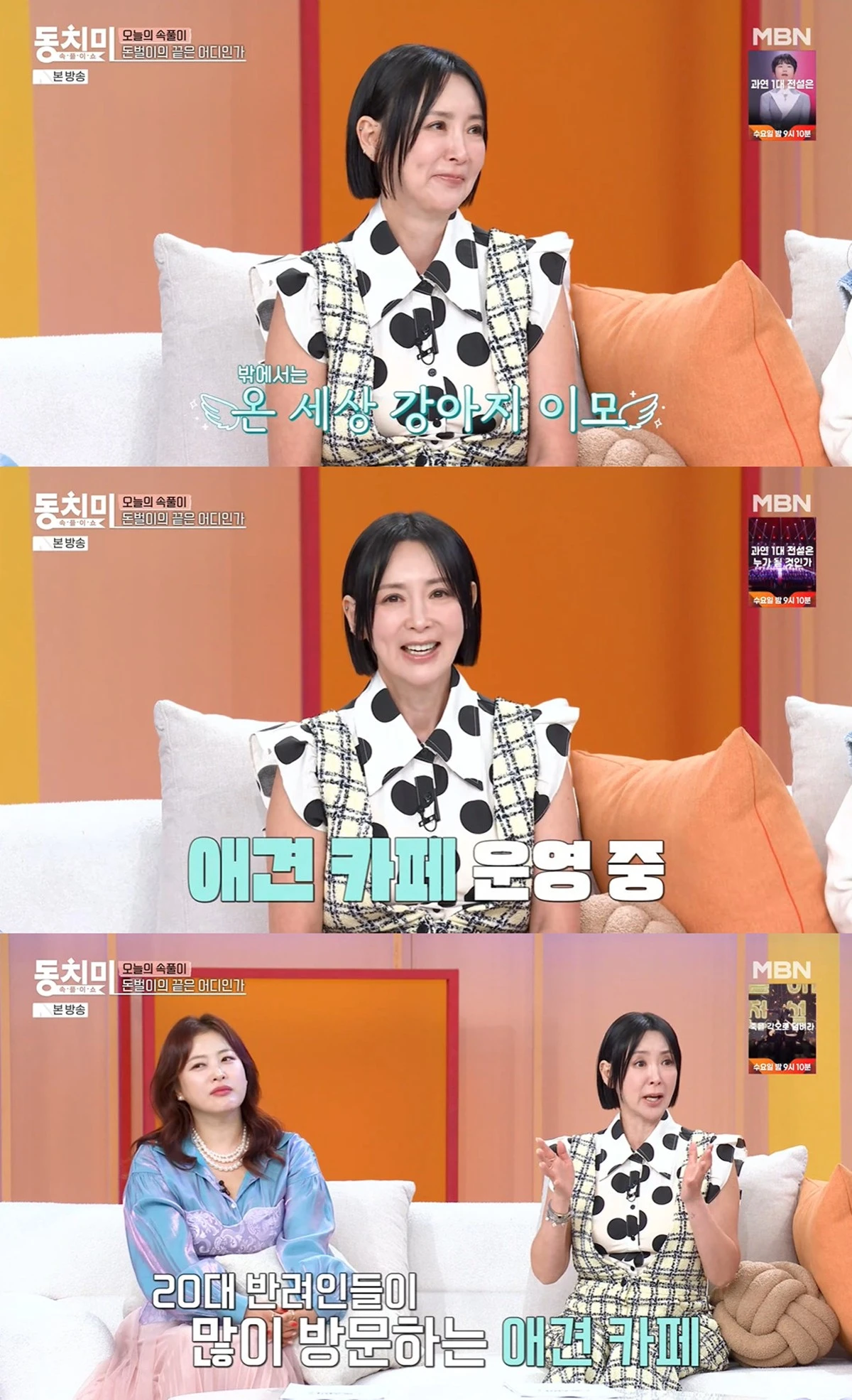 MBN '동치미' 캡쳐