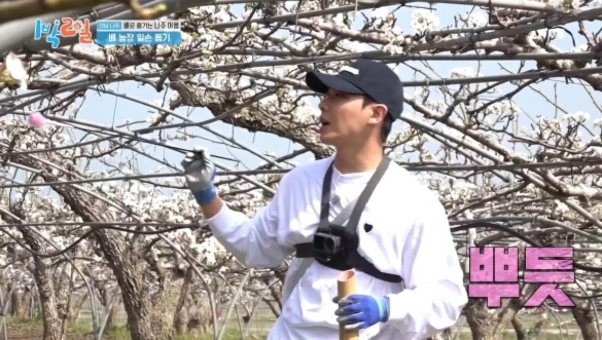 '1박 2일'