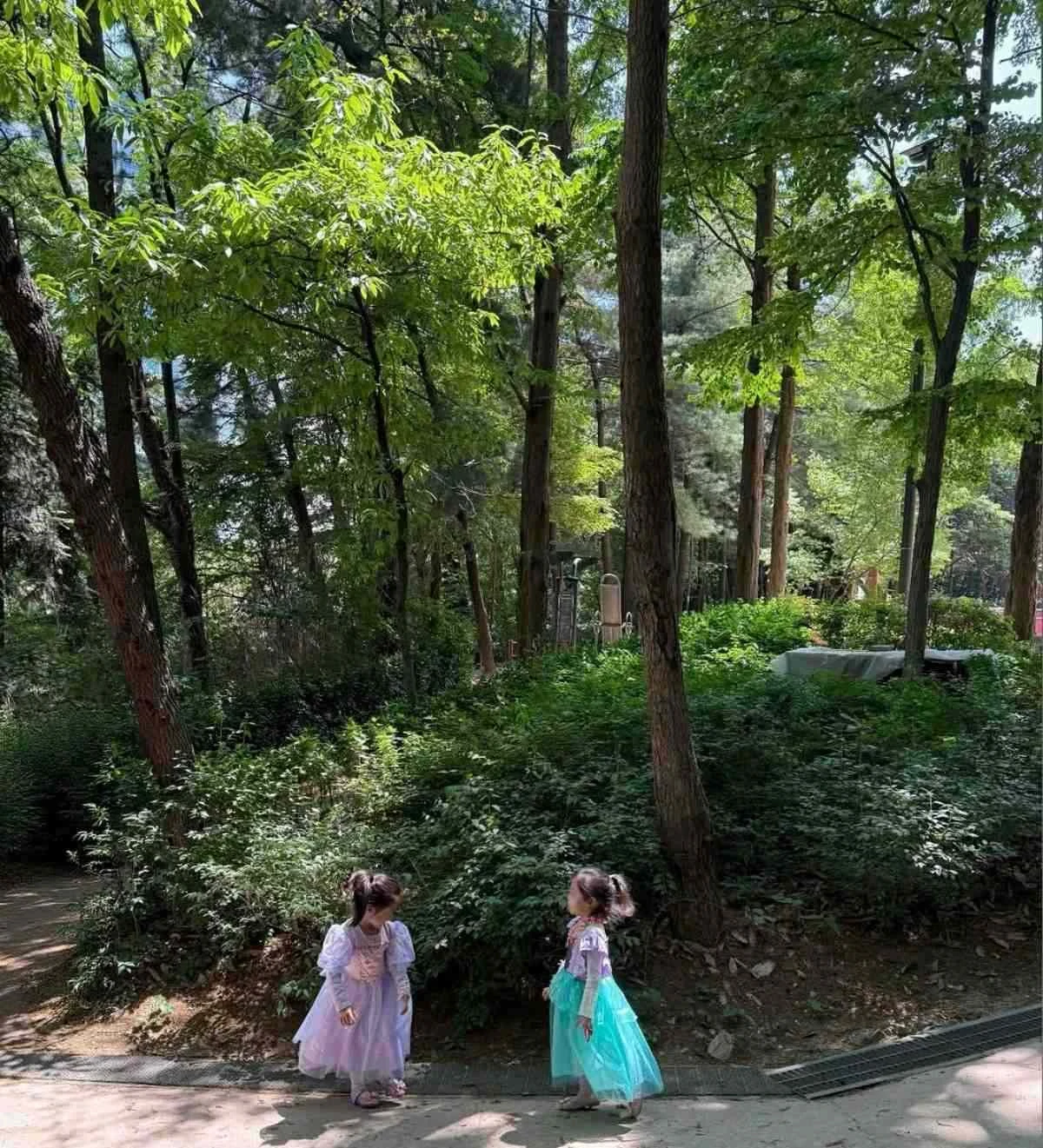 지난 2일 업로드한 게시물