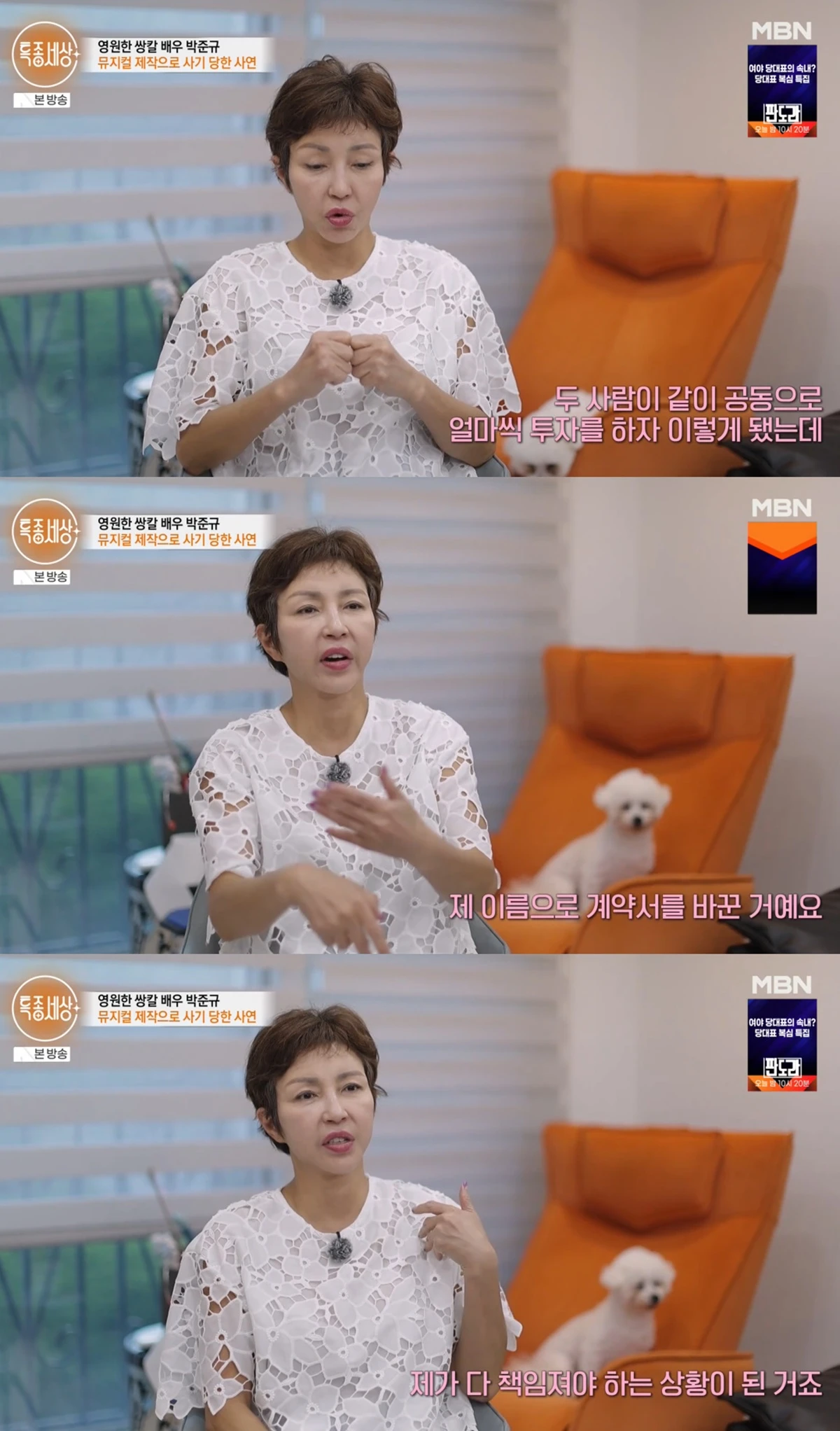MBN '특종세상'