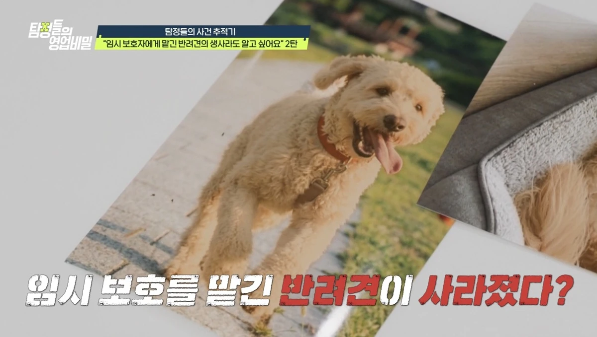 채널A '탐정들의 영업비밀'