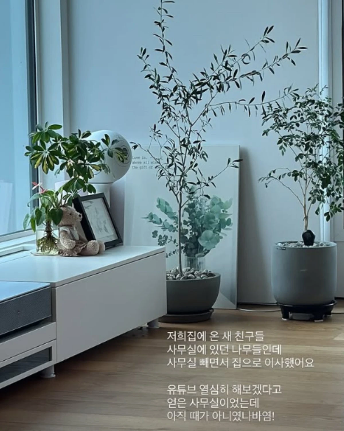 남보라, 거실 공개