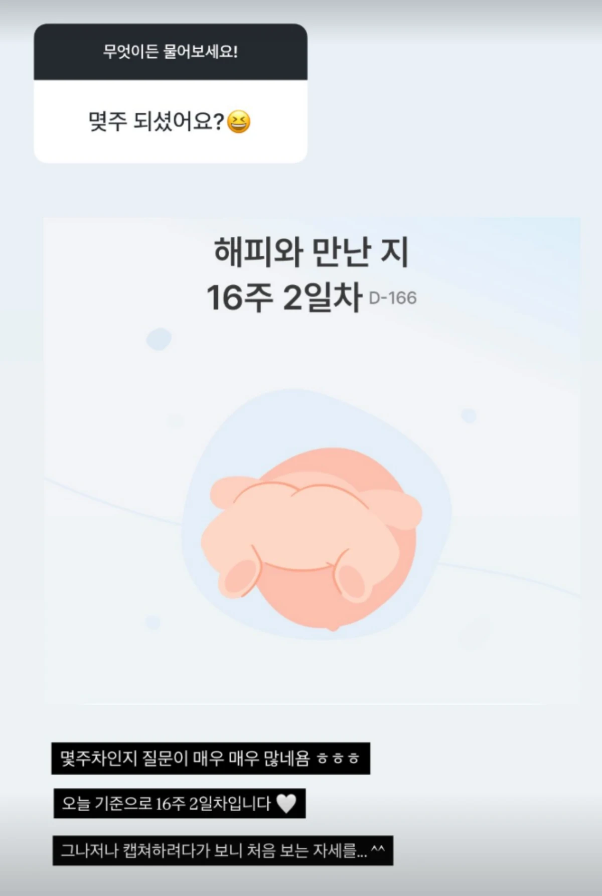 박지현 계정