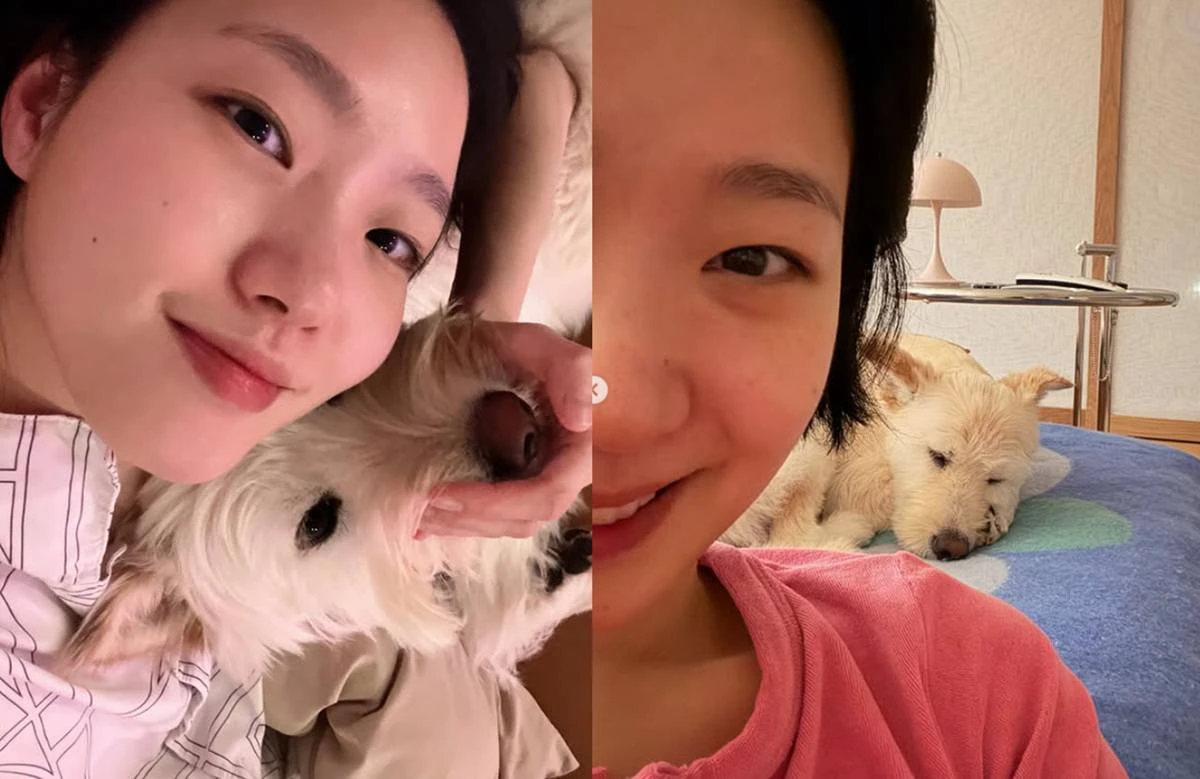 김고은 계정