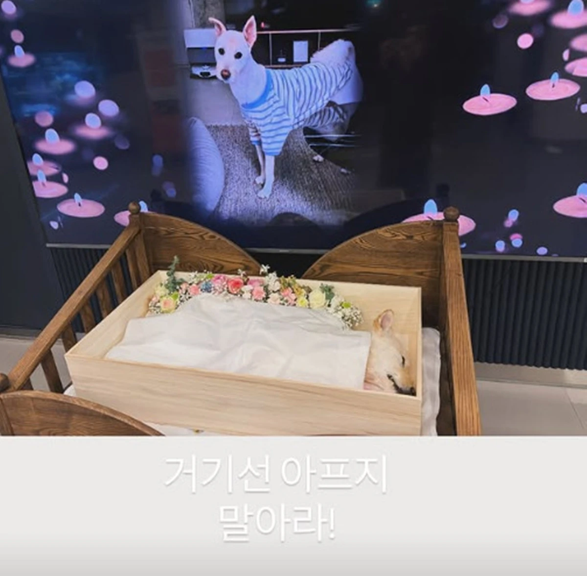 김고은 계정