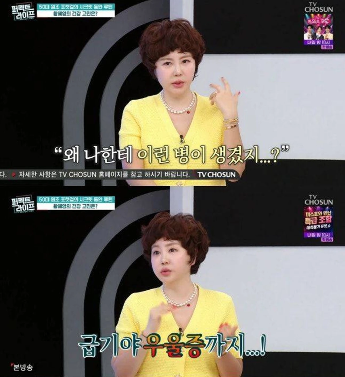 TV조선 '퍼펙트 라이프'