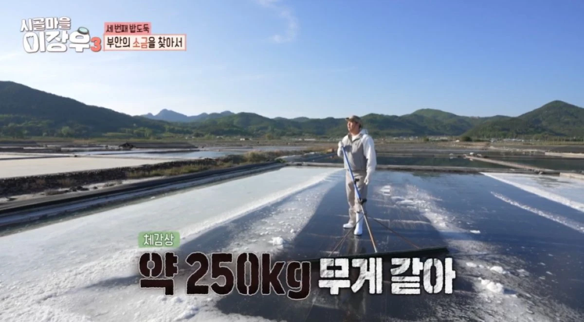 MBC '시골마을 이장우3'