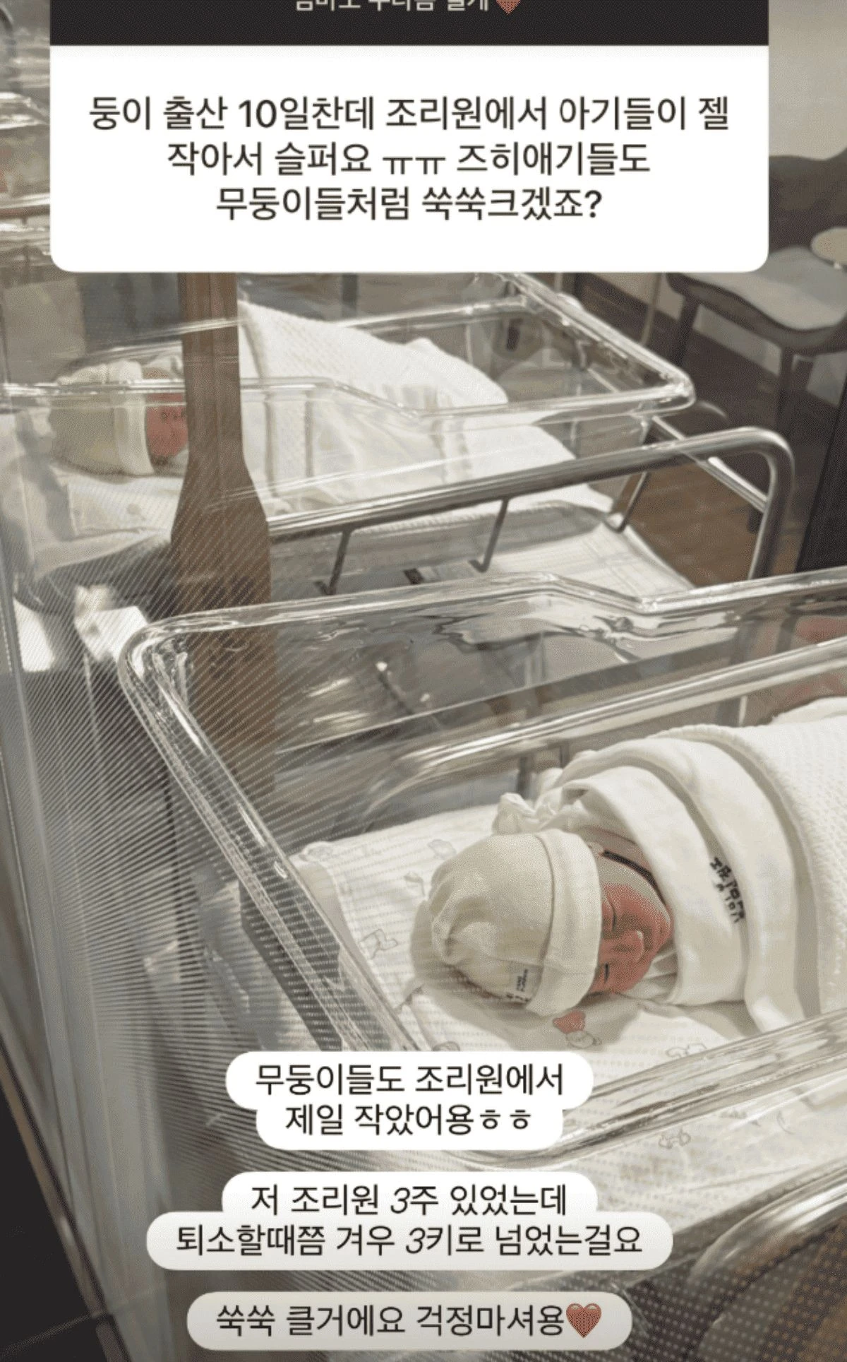 초아 계정