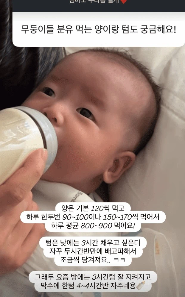 초아 계정