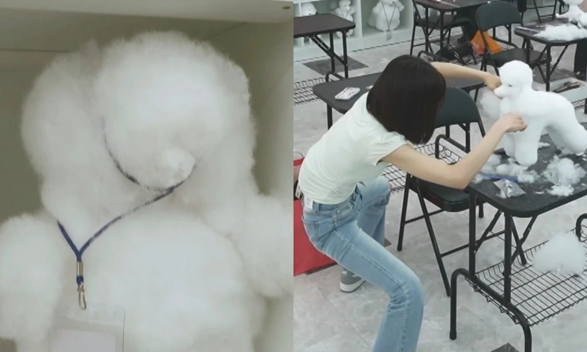 조이, 애견 미용사 자격증 시험 연습
