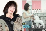 레드벨벳 조이, 애견미용사 전향?…직접 해명했다 "은퇴 생각 없어" [엑's 이슈]