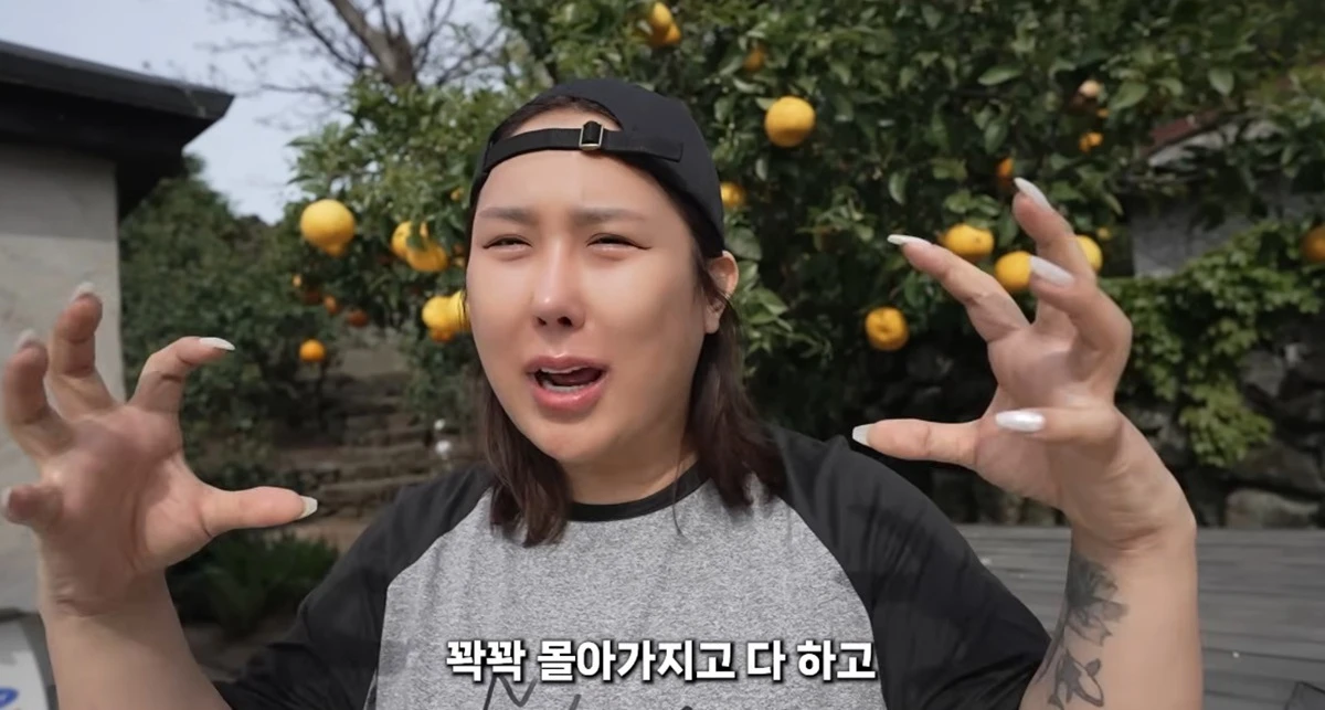 유튜브 채널 '풍자테레비'