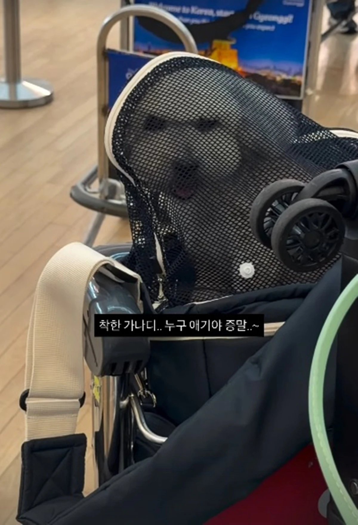 최준희 SNS
