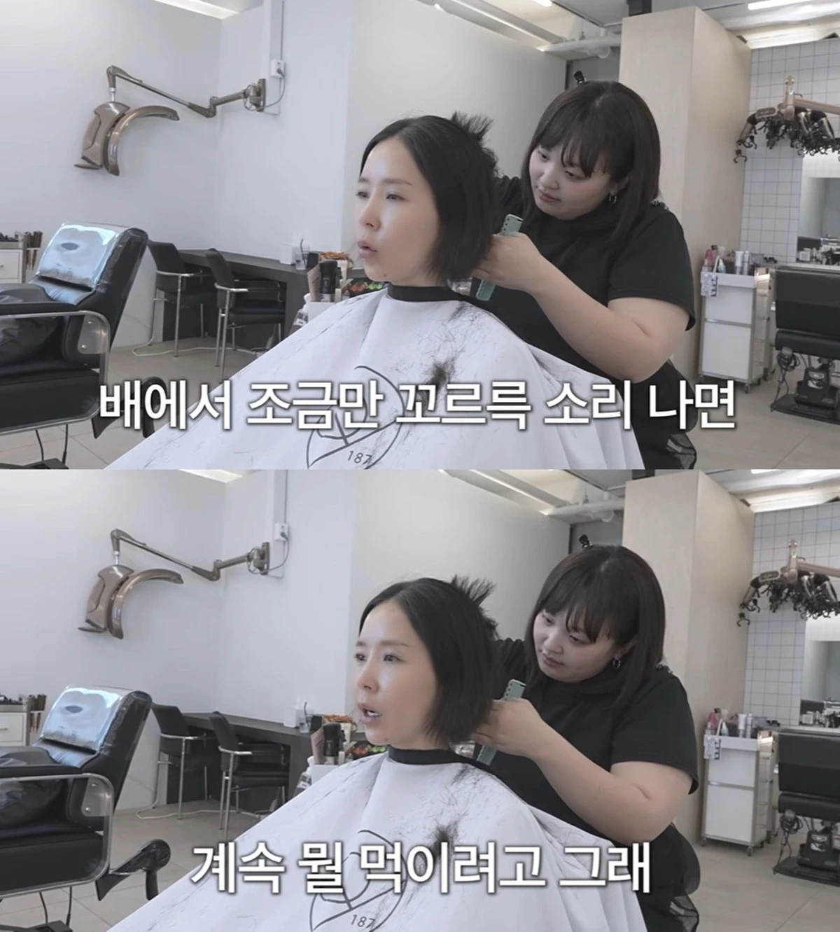 신지 유튜브
