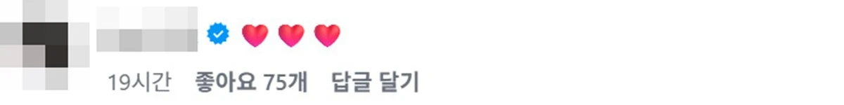 사진 = 강민경 SNS 송혜교 댓글