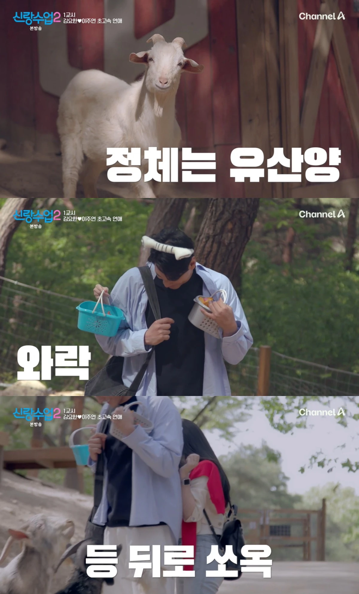 신랑수업