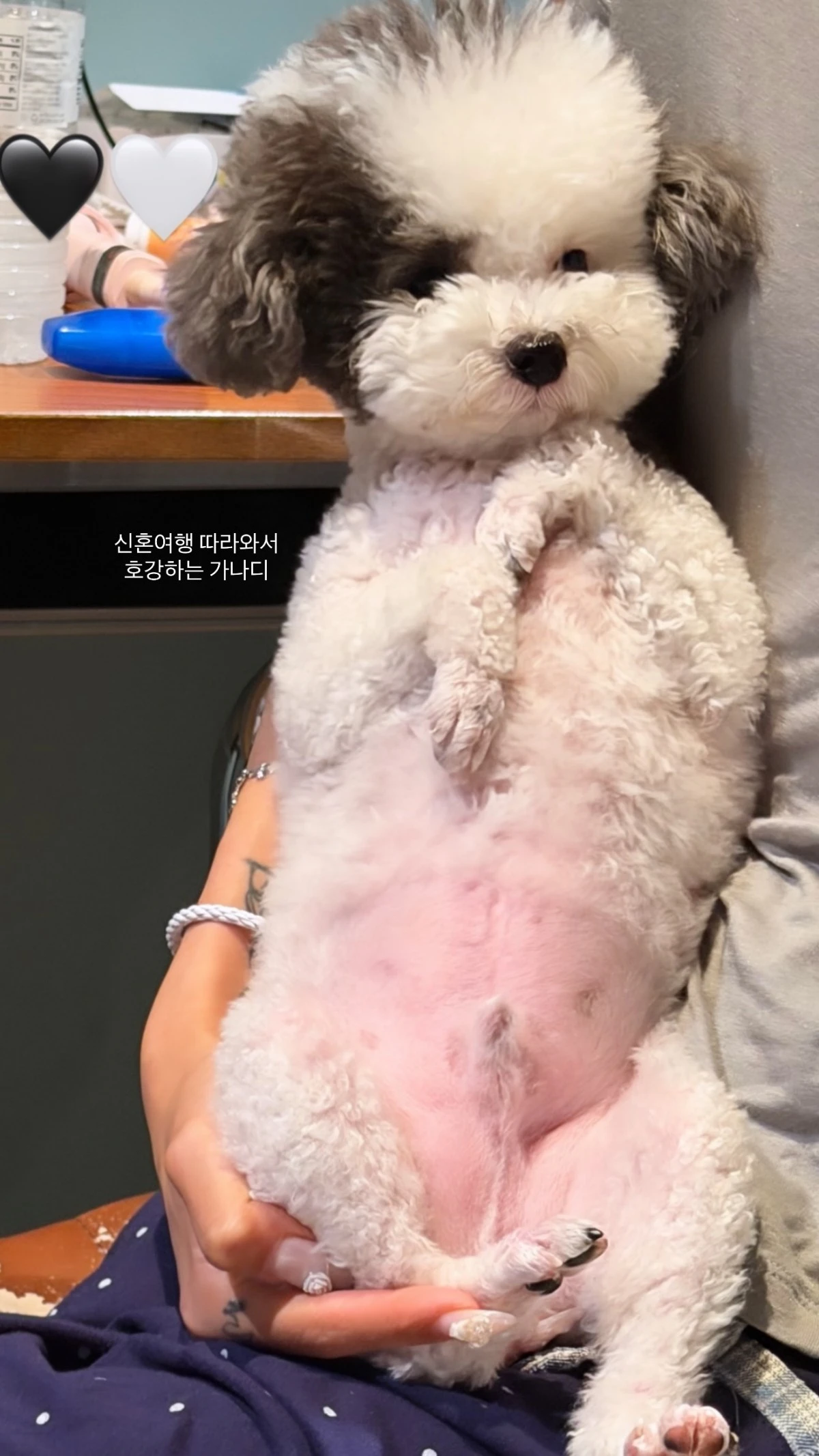 최준희 계정