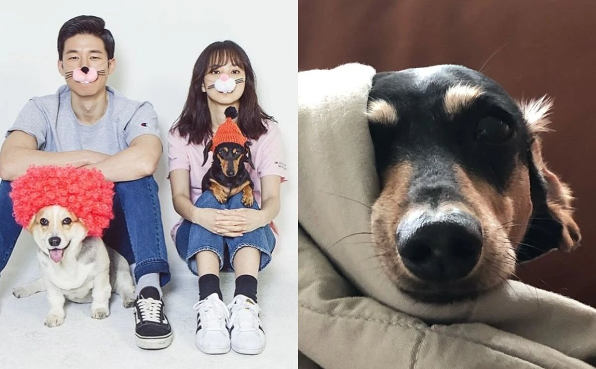 윤승아 인스타그램