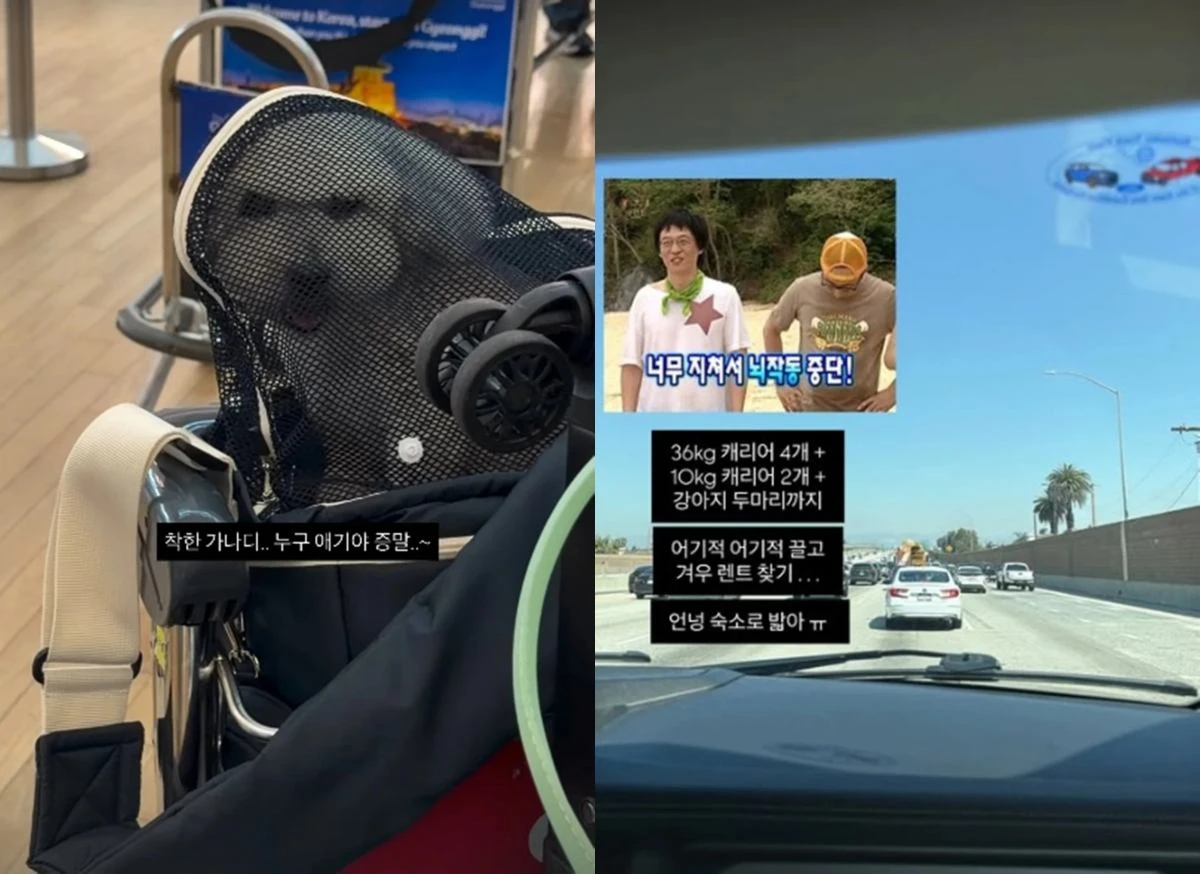 최준희 인스타그램 스토리
